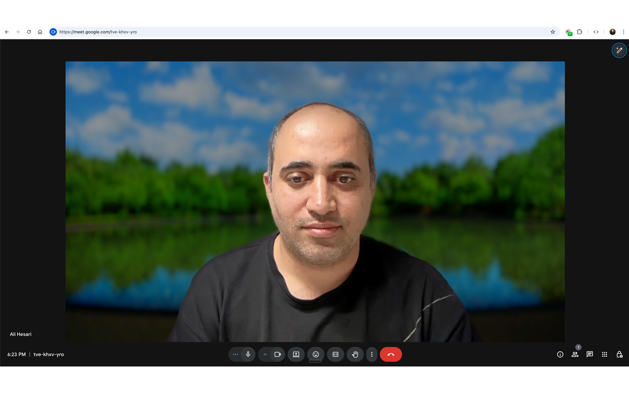 Meet Default Off Extension - Settings Interface